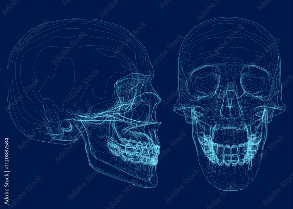 Wall mural blue skull with line on abstract background. wireframe space low poly guard with lines. connection s