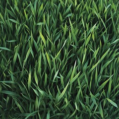 Obraz premium Vibrant Green Grass Blades: Lush Nature Texture