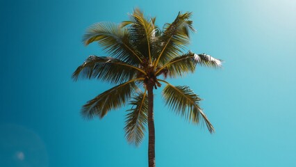 Majestic Palm Tree Against Vibrant Blue Sky, Tropical Paradise Scene
