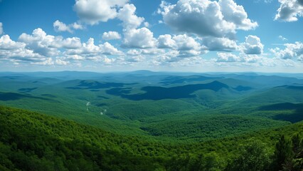 Naklejka premium Stunning Aerial Panoramic of Adirondack Mountains, Summer Landscape Photography