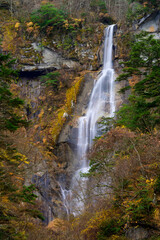 Obraz premium 【山梨県】石空川渓谷 精進ヶ滝