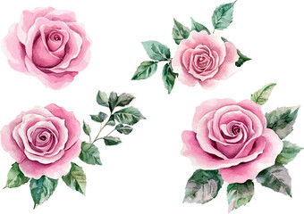 set of roses with leaves