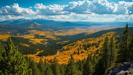 Panoramic New Mexico Forest & Mountains, Aerial View of Golden Aspen Trees and Lush Pine Forests