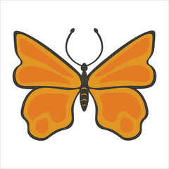 simple illustration of a butterfly 