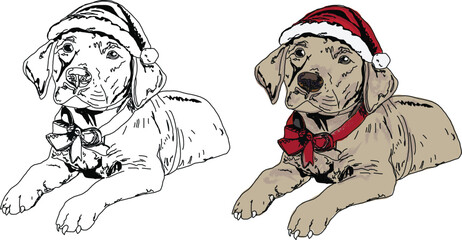 Illustration of a Labrador puppy dog wearing a red Santa hat, Christmas illustration- black and white with color versions