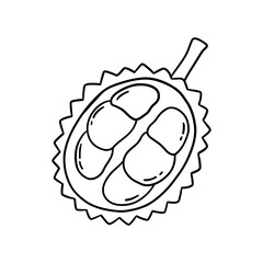 Durian fruit line drawing, tropical fruit, with clear line details, can be used to decorate various designs, and can be used as a coloring picture.
