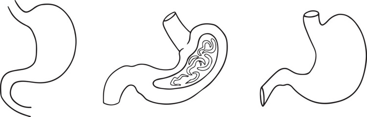 Hand drawn stomach doodle icon set on white background