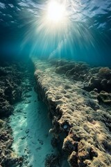 Obraz premium Underwater Sun Rays Illuminate a Vibrant Coral Reef and Ancient Ruins, Showcasing the Beauty and Mystery of the Ocean's Depths During a Tranquil Midday