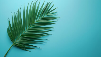 Obraz premium Single Palm Leaf on Blue Background, Flat Lay Web Banner with Copy Space - Tropical Summer Design Element