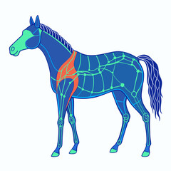 Horse vector illustration 