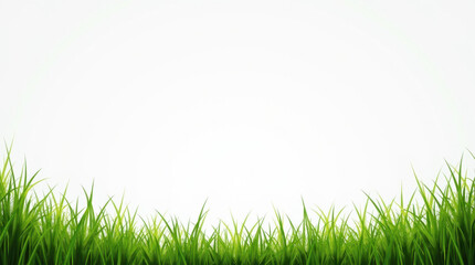 Lush Green Grass Illustration with White Background for Nature and Environment Themes, Perfect for Eco-Friendly Design Projects.