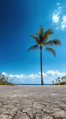 Climate change wildlife crisis concept. A solitary palm tree stands against a bright blue sky, with a cracked road leading towards the ocean, evoking a serene tropical atmosphere.
