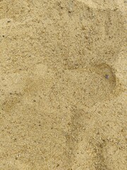 Close-up of rough sand texture with natural stone and wood details