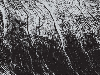 Elephant Texture Background