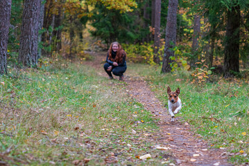 A girl and a dog are playing in the forest.