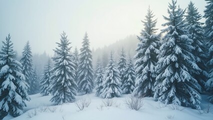 Idyllic Winter Wonderland, Snow-Covered Pine Trees in a Cinematic Landscape Photo