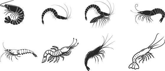 A shrimp silhouette victor illustration. Shrimp vector icon. Sea food logo, sign, symbol.