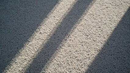 Gray Carpet Texture, Flat Lay Stock Photo with Feminine Sunny Light