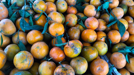 orange fruits at the market stall