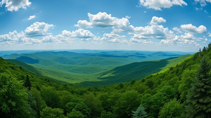 Fototapeta premium Stunning Panoramic Aerial View of Lush Green Adirondack Mountains in Summer