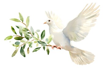 white dove on a branch