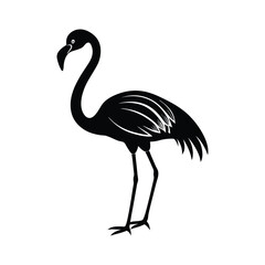 flamingo silhouette isolated on white