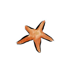 Red starfish isolated on white background, a perfect symbol of the ocean's beauty