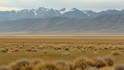Fototapeta premium Vast Mongolian Grassland with Majestic Mountain Range in Background