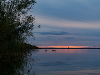 Der Dümmer See bei Lembruch im Abendlicht, Naturpark Dümmer, Landkreis Diepholz, Niedersachsen,...