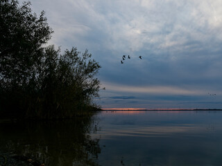 Der Dümmer See bei Lembruch im Abendlicht, Naturpark Dümmer, Landkreis Diepholz, Niedersachsen, Deutschland