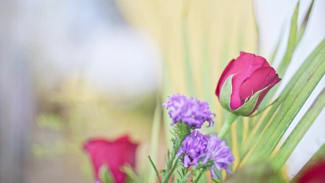 A cinematic closeup shot of purple aster and red rose flowers decoration in wedding event