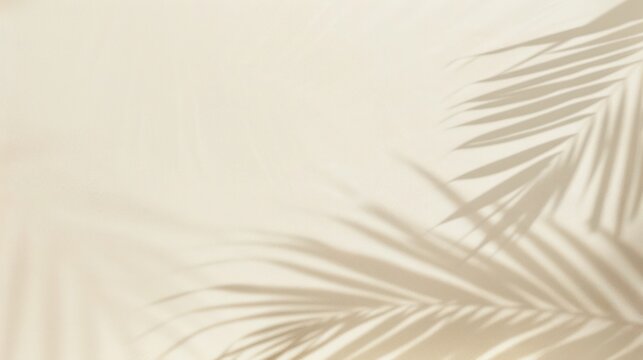 palm leaves shadow on white wall minimal for product presentation no leaf abstract bronw