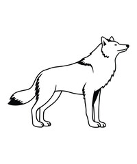 Wolf silhouette vector illustrations