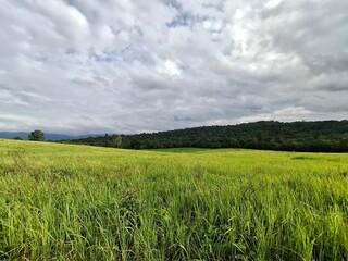 Beautiful nature, mountains, streams