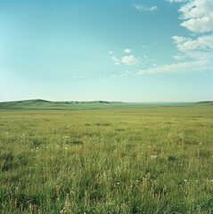 vast grassland