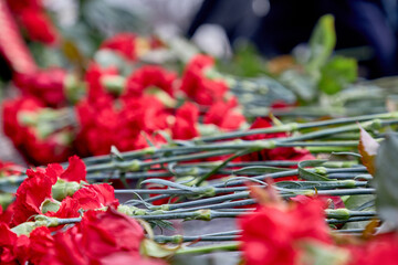 Carnations lie on the granite of the monument . Anniversary of the revolution of 1917.