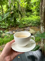Hand holding a cup of coffee, near a brook in a forest.