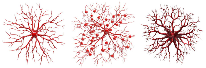 Set of red-colored veins, isolated on a transparent background.