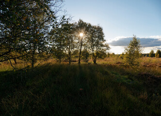 Abendstimmung im Rehdener Geestmoor bei Rehden, Naturpark Dümmer, Landkreis Diepholz, Niedersachsen, Deutschland