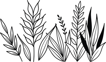 Fototapeta premium Floral branch and minimalist flowers. wedding herb, elegant leaves