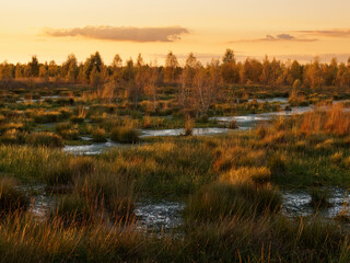 Abendstimmung im Rehdener Geestmoor bei Rehden, Naturpark Dümmer, Landkreis Diepholz,...