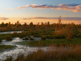 Abendstimmung im Rehdener Geestmoor bei Rehden, Naturpark Dümmer, Landkreis Diepholz, Niedersachsen, Deutschland