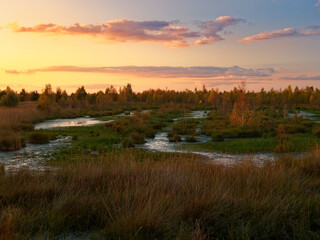 Abendstimmung im Rehdener Geestmoor bei Rehden, Naturpark Dümmer, Landkreis Diepholz,...