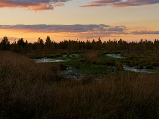 Abendstimmung im Rehdener Geestmoor bei Rehden, Naturpark Dümmer, Landkreis Diepholz, Niedersachsen, Deutschland
