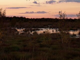 Abendstimmung im Rehdener Geestmoor bei Rehden, Naturpark Dümmer, Landkreis Diepholz,...
