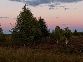 Abendstimmung im Rehdener Geestmoor bei Rehden, Naturpark Dümmer, Landkreis Diepholz, Niedersachsen, Deutschland