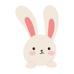 Cute bunny cartoon illustration