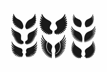 Symmetrical Wing Vector Designs for Digital Art