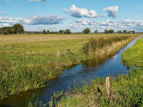 Die Hunte im Osterfeiner Moor am D&uuml;mmer See, Naturpark D&uuml;mmer, Landkreis Diepholz, Niedersachsen, Deutschland