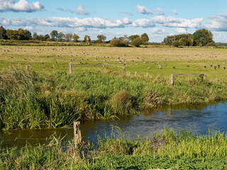 Die Hunte im Osterfeiner Moor am Dümmer See, Naturpark Dümmer, Landkreis Diepholz, Niedersachsen,...